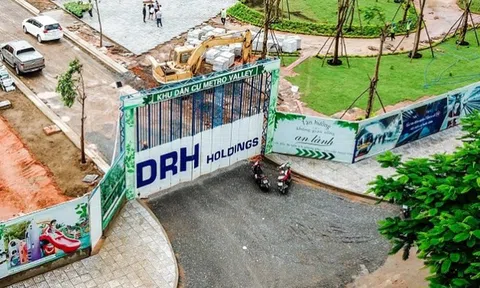 DRH Holdings (DRH) lại thoát lỗ nhờ đóng góp từ công ty liên kết Bimico