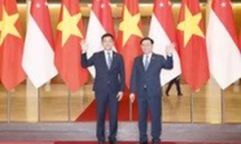 Việt Nam luôn xác định Singapore là đối tác quan trọng hàng đầu