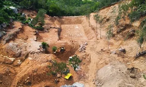 Bà Rịa -Vũng Tàu: Xử phạt 3 người hơn 560 triệu đồng vì phá rừng