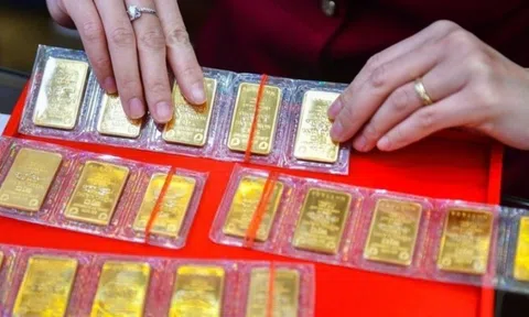 Giá vàng trong nước tăng vọt từ đáy một tháng