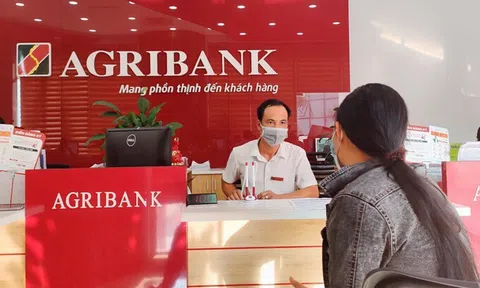 Agribank rao bán khoản nợ xấu hơn 360 tỷ đồng của 2 doanh nghiệp