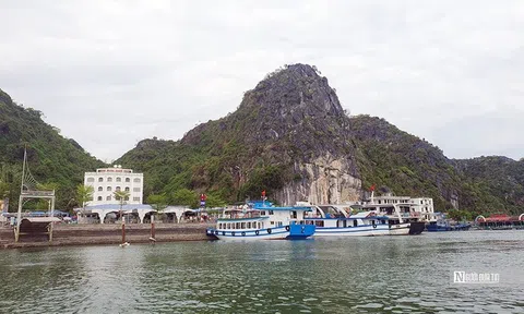 Hải Phòng: Thành lập Ban Chỉ đạo quản lý Di sản vịnh Hạ Long - Cát Bà