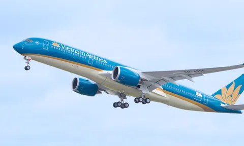 Cổ phiếu HVN của Vietnam Airlines "cất cánh" tăng trần