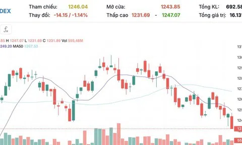 VN-Index 'rơi' 14 điểm