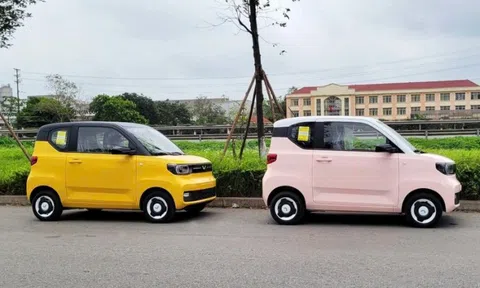 Đối thủ của VinFast vừa "nổ đơn" 1.000 xe điện Trung Quốc cho hãng taxi Việt