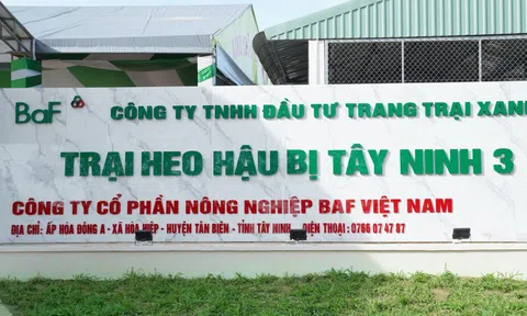 Sau khi thâu tóm loạt doanh nghiệp, BAF bổ nhiệm 2 Phó Tổng Giám đốc mới