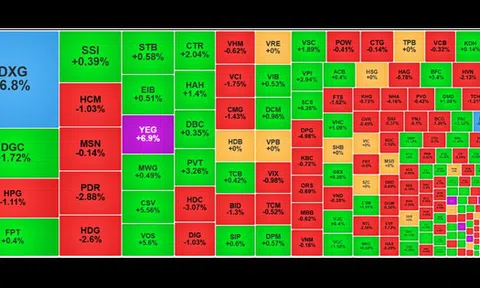 Chứng khoán ngày 24/12: Bộ đôi DXG - DXS 'lau sàn', VN-Index giảm nhẹ