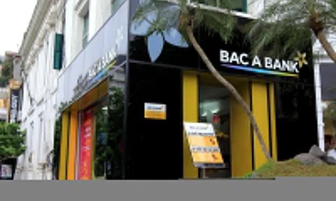 Con gái Chủ tịch BacABank bất ngờ muốn thoái toàn bộ vốn