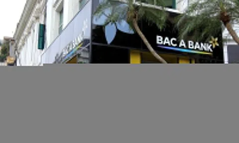 Con gái Chủ tịch BacABank bất ngờ muốn thoái toàn bộ vốn