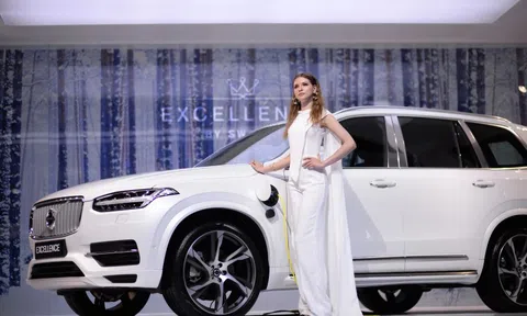 5 xe Volvo XC90 tại Việt Nam dính lỗi chân phanh