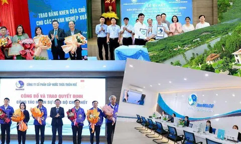 Nhìn lại 10 thành tựu nổi bật của HueWACO trong năm 2024