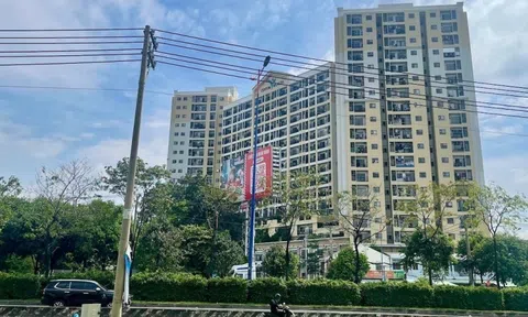 Chủ tịch Thuduc House bất ngờ xin từ nhiệm, HĐQT không còn ai