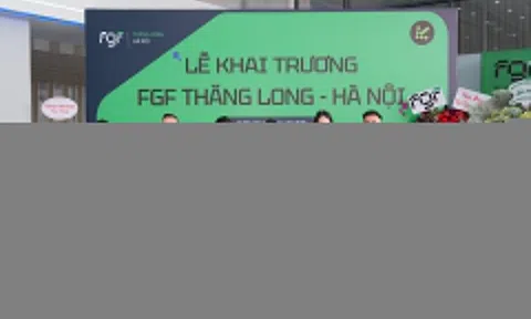 FGF chính thức kinh doanh ôtô điện VinFast đã qua sử dụng