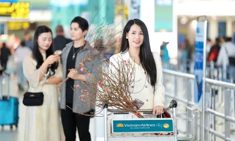 Vietnam Airlines vận chuyển mai đào Tết Nguyên Đán Ất Tỵ 2025