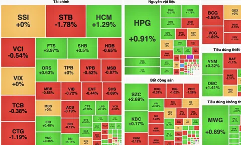 Cổ phiếu "vua" ghìm VN-Index tăng điểm