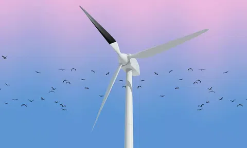 Lý do turbine điện gió ngoài khơi ở Vương quốc Anh được sơn màu đen