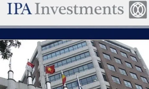 Đầu tư I.P.A (IPA) bị xử phạt 400 triệu đồng vì nhiều sai phạm trong công bố thông tin và quản trị