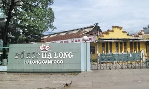 Đồ hộp Hạ Long "xin khất" trả cổ tức năm 2024