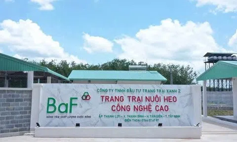 Baf Việt Nam muốn huy động 500 tỷ đồng từ kênh trái phiếu nhằm cơ cấu nợ