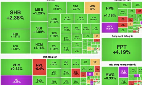 Đi tìm động lực giúp VN-Index bốc đầu tăng gần 20 điểm