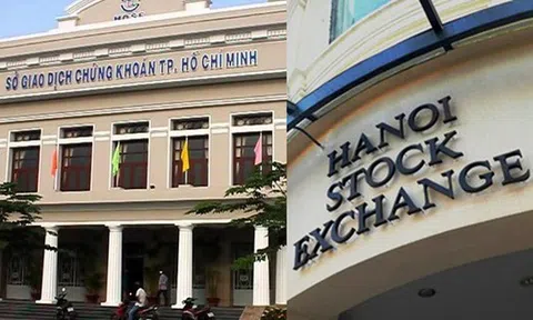 Lý do VNX bị giảm lãi