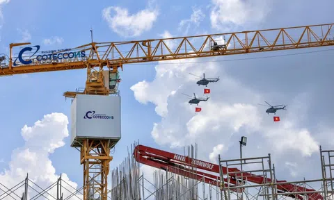 Coteccons giảm lãi