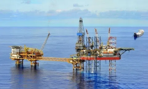 Tập đoàn gần 60 tuổi của Nga ký hợp đồng quan trọng với Việt Nam, mở cửa “kho báu” trữ lượng rất lớn