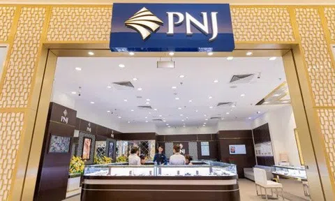 Dragon Capital không còn là cổ đông lớn tại PNJ