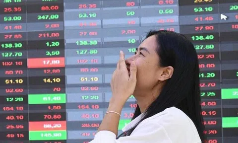 Một công ty chứng khoán sắp trả cổ tức tỷ lệ 43%