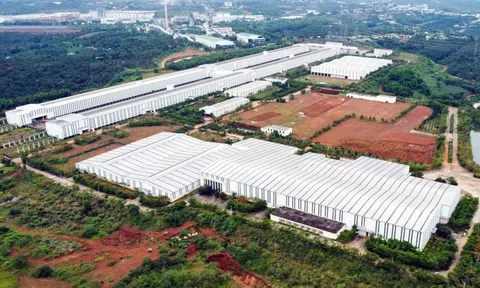 Tỉnh có 'kho báu' lớn nhất nước muốn giữ lại 50% nguồn thu khoáng sản
