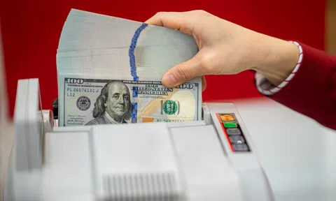 Kho bạc Nhà nước muốn mua 100 triệu USD từ thị trường