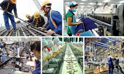 Gỡ vướng trong thực hiện chuyển đổi sở hữu, sắp xếp lại doanh nghiệp nhà nước