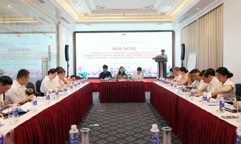 Hội Luật gia Tp.Hải Phòng lấy ý kiến về việc sửa đổi Hiến pháp