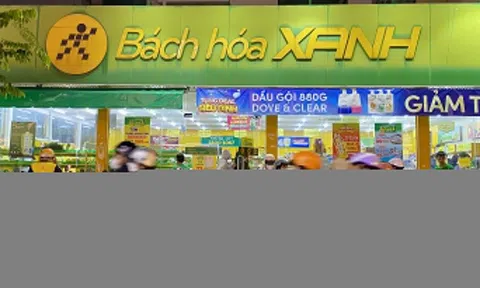 CEO Bách Hóa Xanh muốn 'chốt lời' 200.000 cổ phiếu Thế Giới Di Động