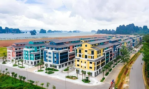CEO Group lập công ty phát triển khu công nghiệp vốn 450 tỷ đồng