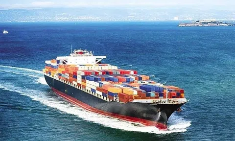 Một cổ phiếu vận tải biển bật tăng trần dù vừa bị HoSE “tuýt còi”