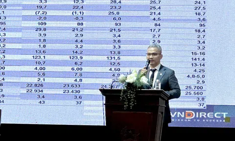 Cổ đông ôm VND nhiều năm vẫn âm, CEO VNDirect nói "chưa bán thì chưa lỗ"