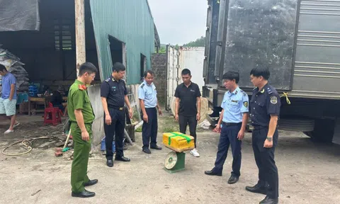 Chặn 25 tấn mực ống, sách bò, chân gà bốc mùi sắp lên bàn nhậu