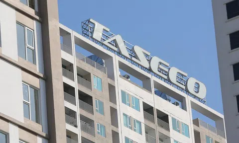 Taseco Land bị xử phạt thuế gần 244 triệu đồng