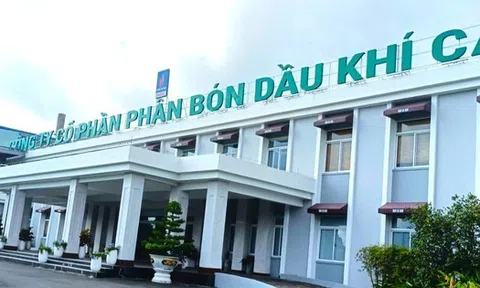 Thay đổi lãnh đạo tại Công ty phân bón dầu khí Cà Mau