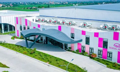 FPTS đăng ký bán ra cổ phiếu MSH trước khi May Sông Hồng phát hành cổ phiếu thưởng