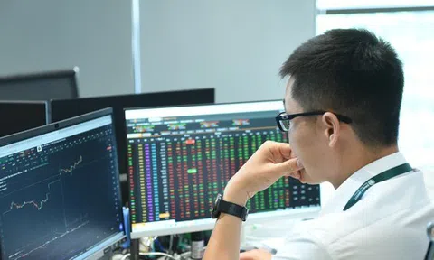 Chứng khoán tuột đỉnh, cổ phiếu nằm sàn la liệt
