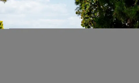Siêu xe Aston Martin DB12 Volante Palm Beach độc nhất thế giới