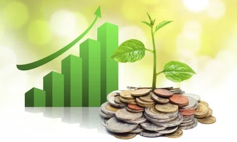Lịch chốt quyền cổ tức 2/6-6/6: Cổ tức tiền mặt cao nhất 20%, một công ty chứng khoán chốt trả cổ tức 43% bằng cổ phiếu
