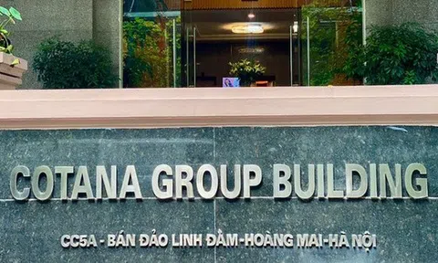 Tập đoàn Cotana sắp trả cổ tức bằng cổ phiếu, Chủ tịch Đào Ngọc Thanh nhận về bao nhiêu?