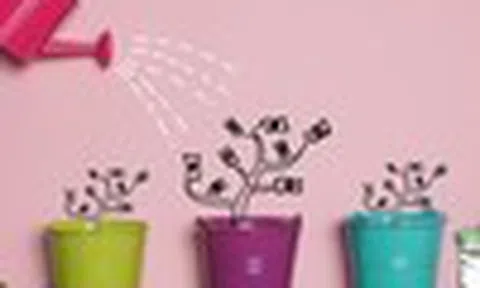 Nhận định thị trường phiên giao dịch ngày 5/6: Tăng tỷ trọng những mã đang có lợi nhuận