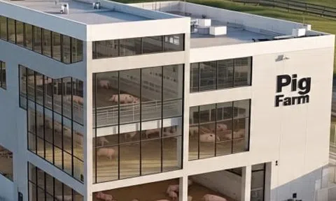Doanh nghiệp muốn xây 2 tòa 'chung cư 6 tầng' để nuôi heo