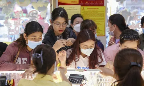 Mỗi lượng vàng SJC tăng nửa triệu đồng