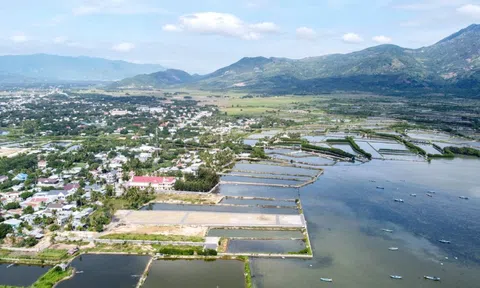 5 công ty trúng thầu 'siêu đô thị' gần 10 tỷ USD ở Khánh Hòa