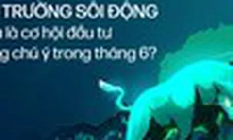 Thị trường sôi động – Đâu là cơ hội đầu tư đáng chú ý trong tháng 6?